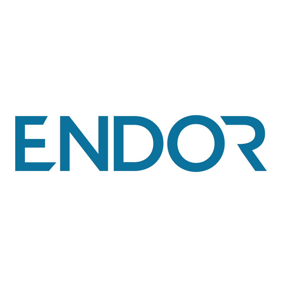 Endor Protocol Token