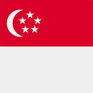 eToro Singapore Dollar (SGDX)