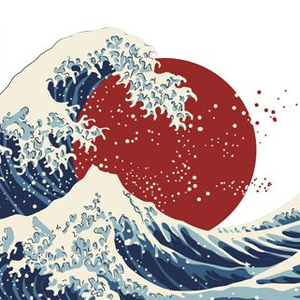Tsunami finance (NAMI)