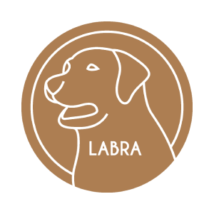 LabraCoin (LABRA)