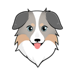 Australian Safe Shepherd (ASS)