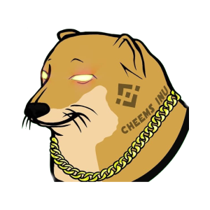 CHEEMS INU v1 (CINUV1)