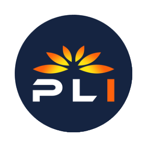 Plugin (PLI)