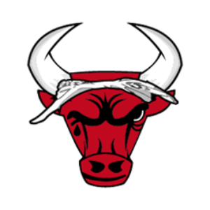 Bull Coin (BULLS)