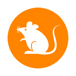 Rats (RATS)
