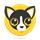 HUAHUA