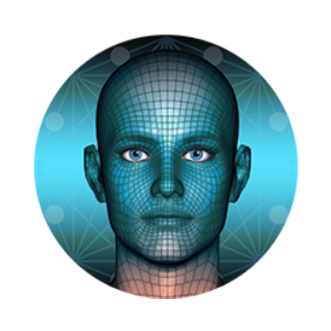 Metaverse Face (MEFA)