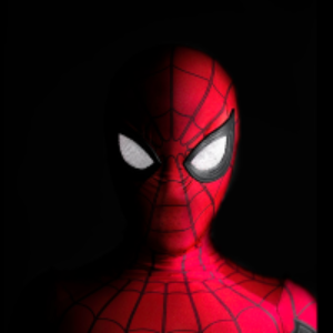 Spider Man (SPIDER)