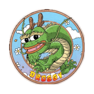Droggy (DROGGY)
