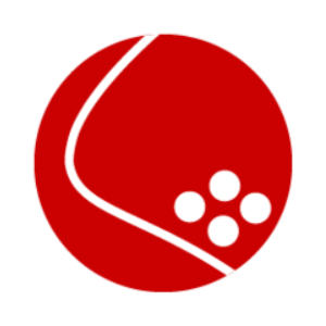 Simple Agreement for Future Tokens (SAFTP)