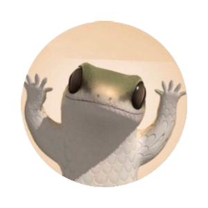 Dancing Lizard Coin (LIZD)