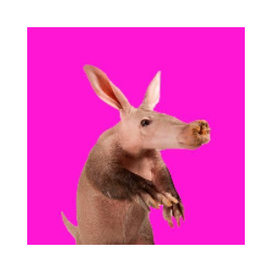 Aardvark (VARK)