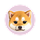 KIBSHI