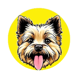 TOTO (TOTO)