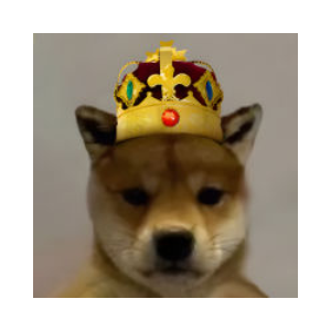 King WIF (KINGWIF)