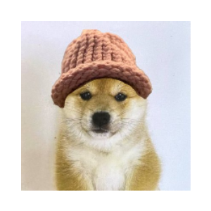 babydogwifhat (BABYWIF)