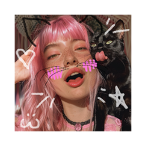 Pussy In Bio (PUSSYINBIO)