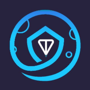 SafemoonTon (SAFET)
