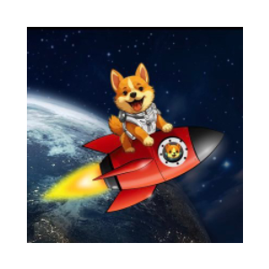 Starship Doge (STARSHIPDOGE)
