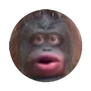 Monkecoin (MONKE)