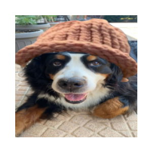 DogSwaghat (DOGSWAG)