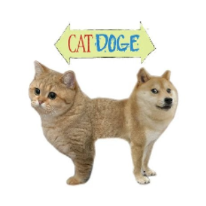 CAT DOGE (CATDOGE)