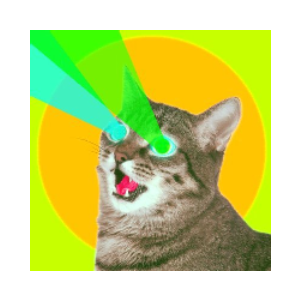 Bitcoin Cat (BTCAT)