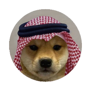 dogwifsaudihat (WIFSA)