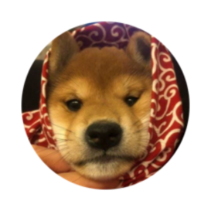 dogwifscarf (WIFS)