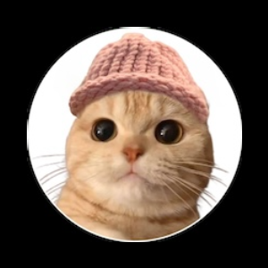 Meowifhat (MEOWIF)