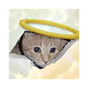 CEILING CAT (CEICAT)