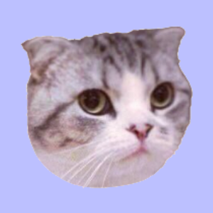 Taylor Swift's Cat MEREDITH (MEREDITH)