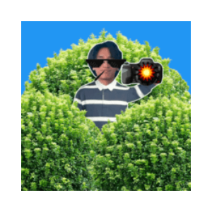 Ansem Wif Photographer (AWP)