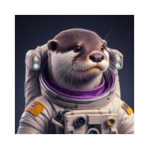 Otter Space (OTTERSPACE)