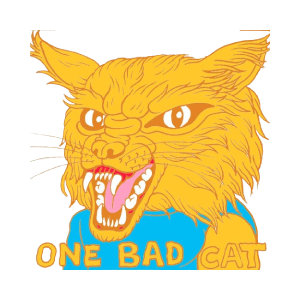 Andy’s Alter Ego (BADCAT)