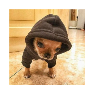 Doginhood (DOGIN)