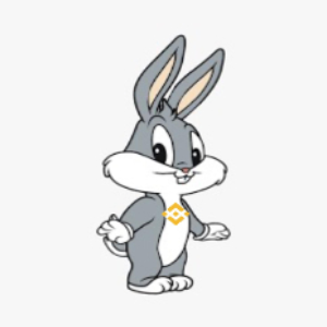 BNB BUNNY (BNBBUNNY)