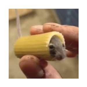 mouse in pasta (STUCK)