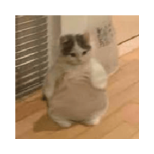 FATMICHI (FATMICHI)
