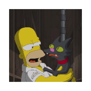 Simpson Cat (SNOWBALL)