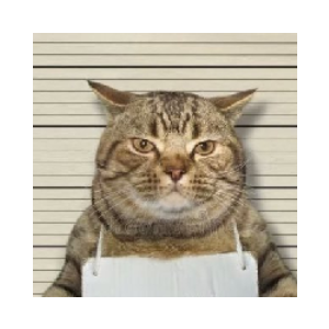Jail Cat (CUFF)