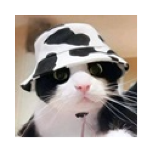 MooCat (MOOCAT)