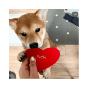 achi (ACHI)