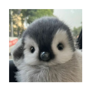 Peanie (PEANIE)