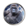 HARAMBE