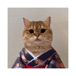 Cat Own Kimono (COK)