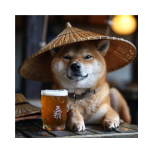Chinese Doge Wow (CHIDO)