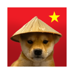 DOG WIF CHINESE HAT (WEF)