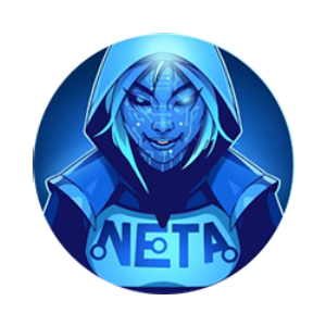 Negative Tax (NETA)
