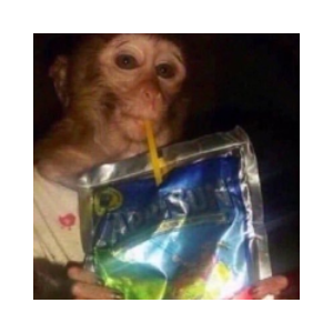 Caprisun Monkey (CAPRI)